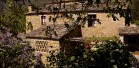 Vista con fiori