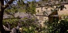 Vista con fiori