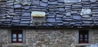 IMG_3645
