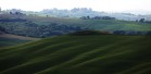 IMG_5678
