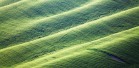 IMG_5680