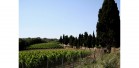 Toscana-per-sito-010