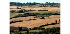 Toscana-per-sito-015